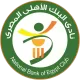 Logo National Bank of Egypt SC